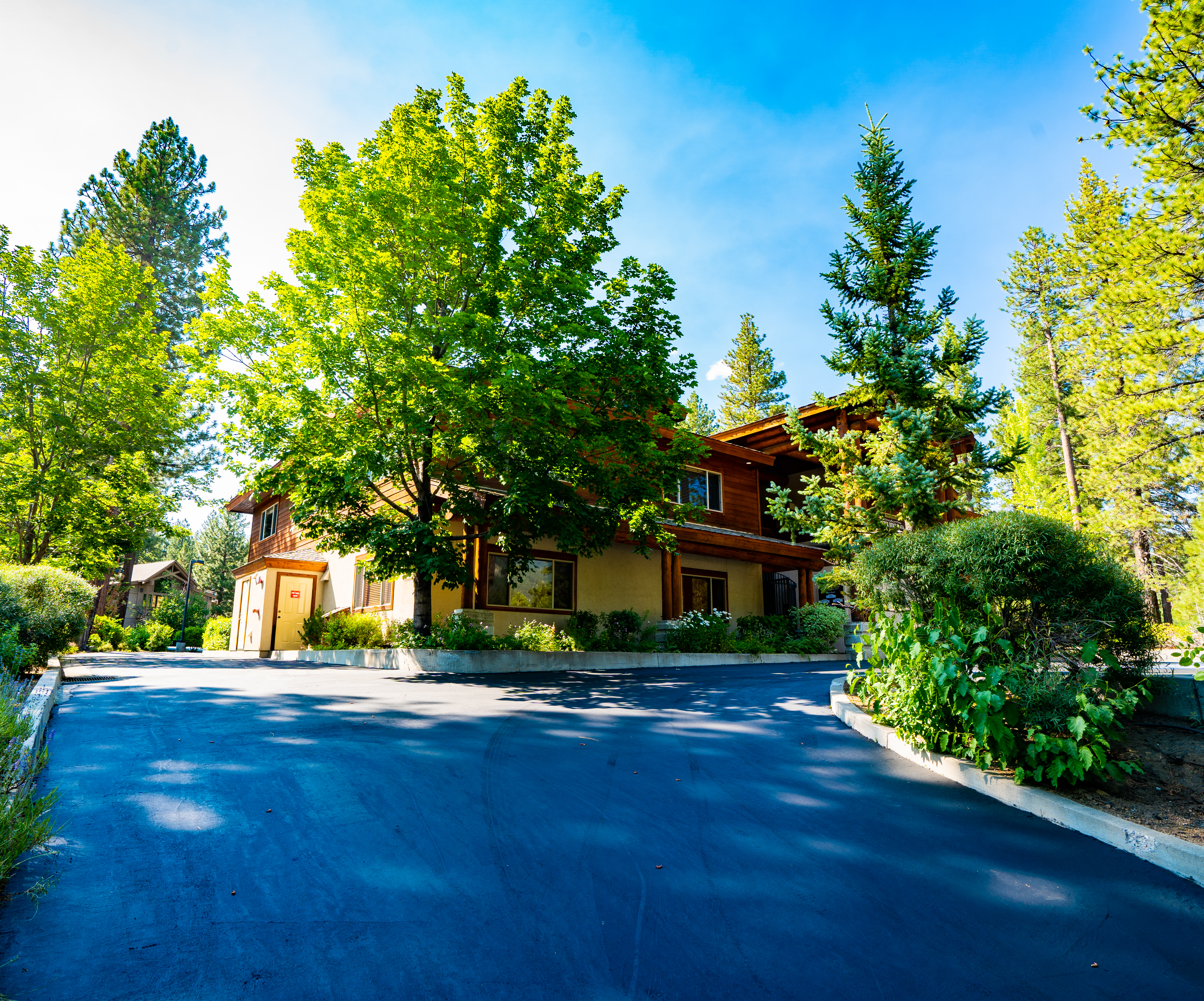 TokemiLoLo (3 of 19)